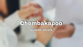 chembakapoo slowed reverb shahza yousafnabi 