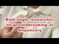 Bald eagle researcher reacts to stop groundbreaking