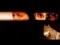 Download Lagu Paul Kantner \u0026 Grace Slick - When I was a boy I watched the wolves (Sunfighter) 1971