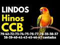 HINOS CCB 79-42-72-73-74-75-76-77-78-35-36-37-38-39-40-41-43-45-46-47 cantados
