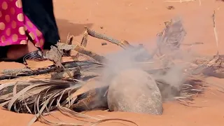 اغنية يا الدانه المنقايه دندنها
