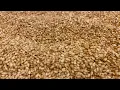 Download Lagu DUKKAH RECIPE | The Most Healthy Breakfast | Irresistible Aromatic Delicious Egyptian DUKKA