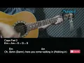 Mackenzie Carpenter - High Pony Guitar Chords Lyrics