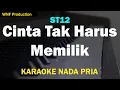 Download Lagu ST12 - Cinta Tidak Harus Memiliki (Karaoke Nada Original)