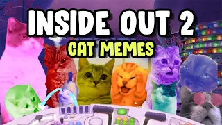 CAT MEMES: INSIDE OUT 2 PARODY