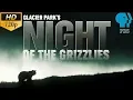 Glacier Park s Night of the Grizzlies PBS Documentary