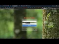Build a Dynamic Expense Tracker with JavaScript Tailwind CSS Pexels API Integration Live Demo