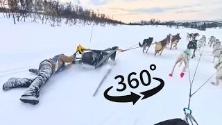 Dramatic 360° Video Rescue After Dog Sledder Crashes