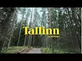 Soft Life Tallinn Travel Vlog Best places to eat drink Old Town Laheema National Park more