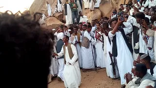 الفنان القامه محمد ادم ودقاش 