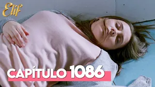 Elif Quinta Temporada Capítulo 1086 Elif Capítulo 1086 