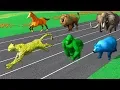 Download Lagu Learn Wild Animals Running Race Video For Kids - Learn Animals Names \u0026 Sounds For Children Toddlers