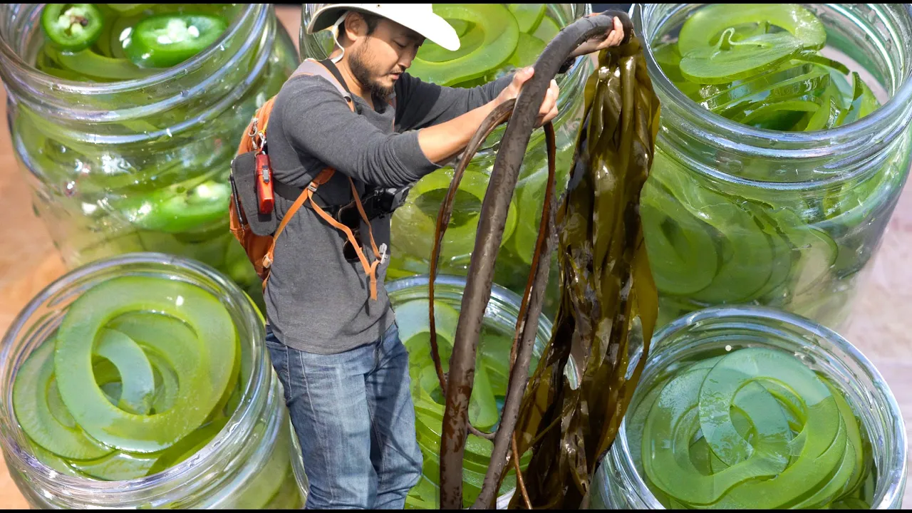 THE NEXT BIG SUSTAINABLE FOOD TREND   Must Try Kelp Pickles