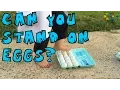 Download Lagu Walking on Eggs | Easy Kid science experiment you can do at home | Science fair project or STEM