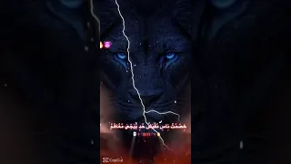 لو شوفت جسمي هتقول دا الراجل الاخضر اكسبلور فولو بل حب 