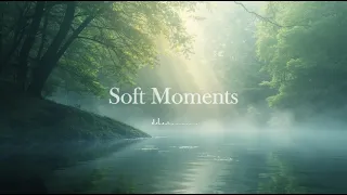 insane forest morning 5 min calm meditation with soft bird chirps peaceful zen start