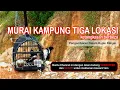 Download Lagu Mikat Murai Kampung