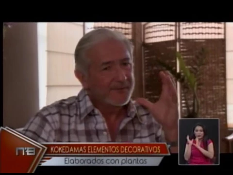 Kokedamas elementos decorativos elaborados con plantas