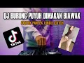Dj Burung puyuh dimakan biawak x pantek pantek jungle dutch full bass glerrr tiktok viral 2022
