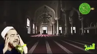 ابتهال أغيب وذو اللطائف لا يغيب الشيخ سيد النقشبندي دندنها