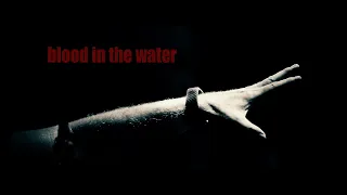 Download Bon Jovi | Blood In The Water MP3