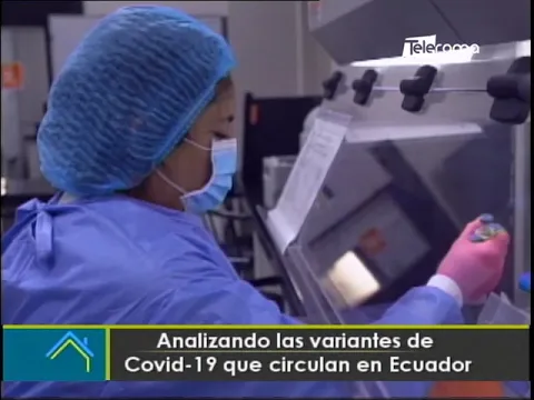Analizando las variantes covid-19 que circulan en Ecuador