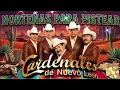🎶 Belleza De Cantina y Más Éxitos | Los Cardenales De Nuevo León (Norteñas para Tomar) 🍺