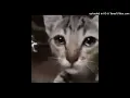 Download Lagu I Wish I Was Your Joke - Reality Club | Instrumental