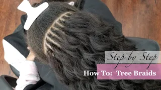 How To Tree Braids Step by Step Very Detailed