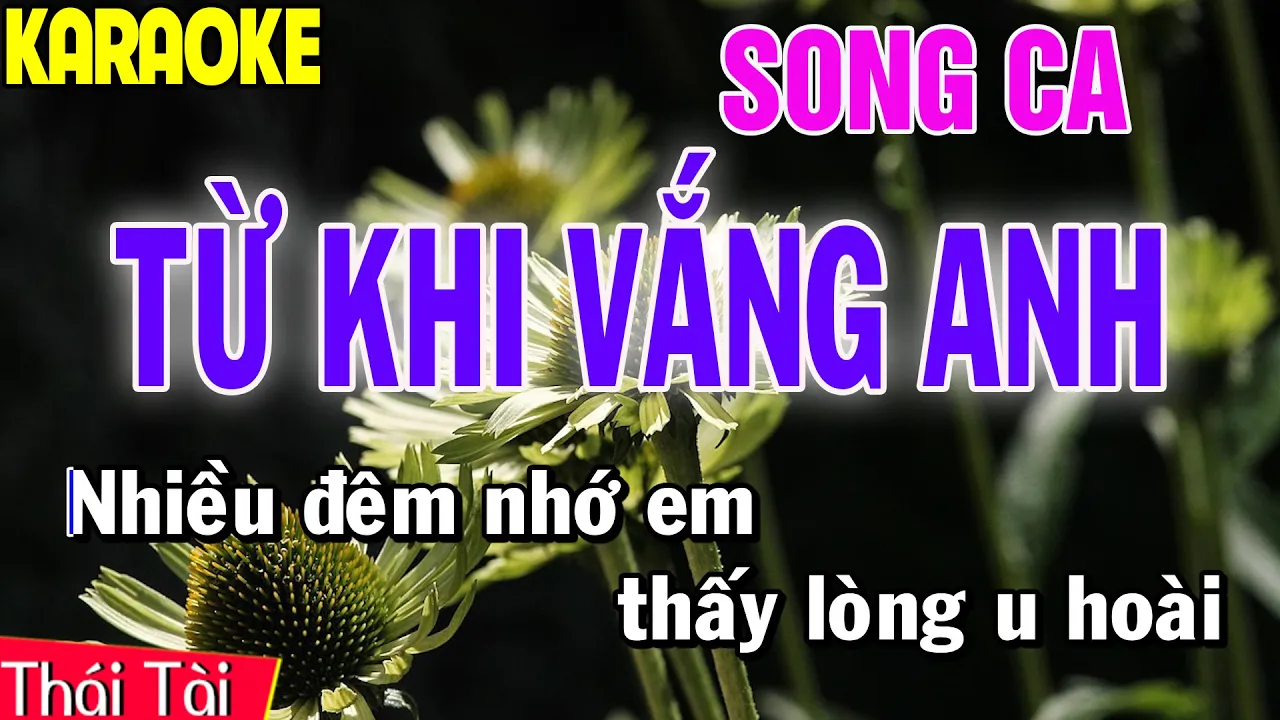 Từ Khi Vắng Anh 