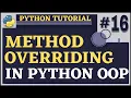 Method Overriding Python Tutorial for Beginners Python