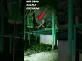 Download Lagu NEKAT BANGET DEMI MELIHAT HANTU SERAM #shorts #trending #hantu