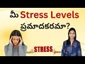 Are Your Stress Levels Dangerous Signs Your Body Is Under Stress