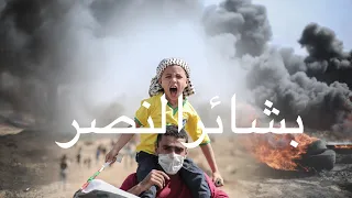 بشائر النصر 