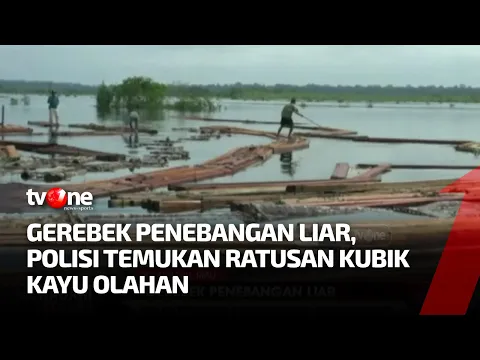 Polisi Gerebek Pelaku Penebangan Liar di Kawasan Cagar Alam Biosfer