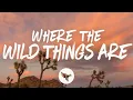 Download Lagu Luke Combs - Where the Wild Things Are (Lyrics)