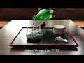 How to make ice green tea, Sencha
