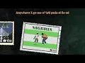 Burna Boy - Wonderful [Official Lyric Video]