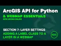 Labelling a WebMap Layer in ArcGIS Online using the ArcGIS API for Python Label Class