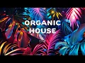 Sunset Vibes #01 - Deep Melodic Journey | Organic House Mix 2025