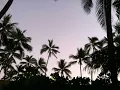 J Boog & Fiji - Smoking Bomb Bud/ DJ Quik - Tha Bombudd