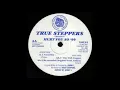 True Steppers - Hurt You So '99 (True Dub Stepper)