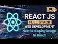 How to Display Images in React JS Public Folder vs Import Method Full Stack Web Development