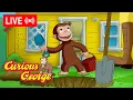 Download Lagu 🔴 LIVE Curious George Episodes 🐵 George the Digger 🪏 + MORE!