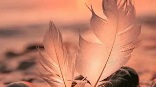 بعض الصحاب ليسوا اصدقاء وانما اخوه تختلف في الاسماء 