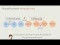The Cell Cycle Interphase Mitosis I HIGH SCHOOL COLLEGE BIO I
