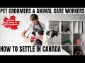 Pet Groomers Animal Care Workers OPTIONS FOR CANADA IMMIGRATION STUDY WORK PR DETAILS