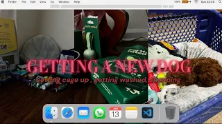 Come With Me To Get A New Puppy getting his first wash shopping unboxing
