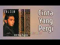 Download Lagu SALEEM - Cinta Yang Pergi | Video Lirik