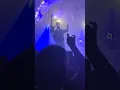 Wind Walkers - The End Aesthetic (Live at Teragram Ballroom, LA, CA October 2, 2026)